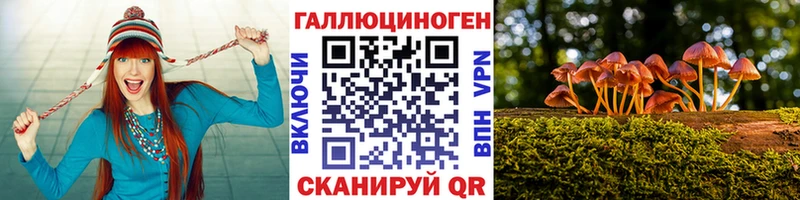 цена   Ярцево  Галлюциногенные грибы Cubensis 